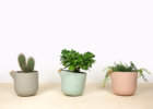 c12-colors-natural-balance-flowerpot-2016