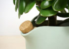 c12-detail-natural-balance-flowerpot