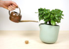 c12-frontpage-natural-balance-flowerpot-2016