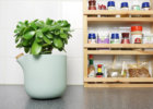 c12-lifestyle-kitchen-natural-balance-flowerpot-studio-lorier