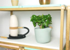 c12-lifestyle-shelving-natural-balance-flowerpot-2016