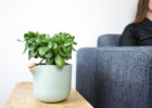 c12-lifestyle-side-table-natural-balance-flowerpot-studio-lorier