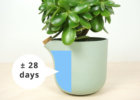 c12-natural-balance-feed-up-top-30-days