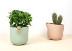 c12-natural-balance-flowerpot-2016