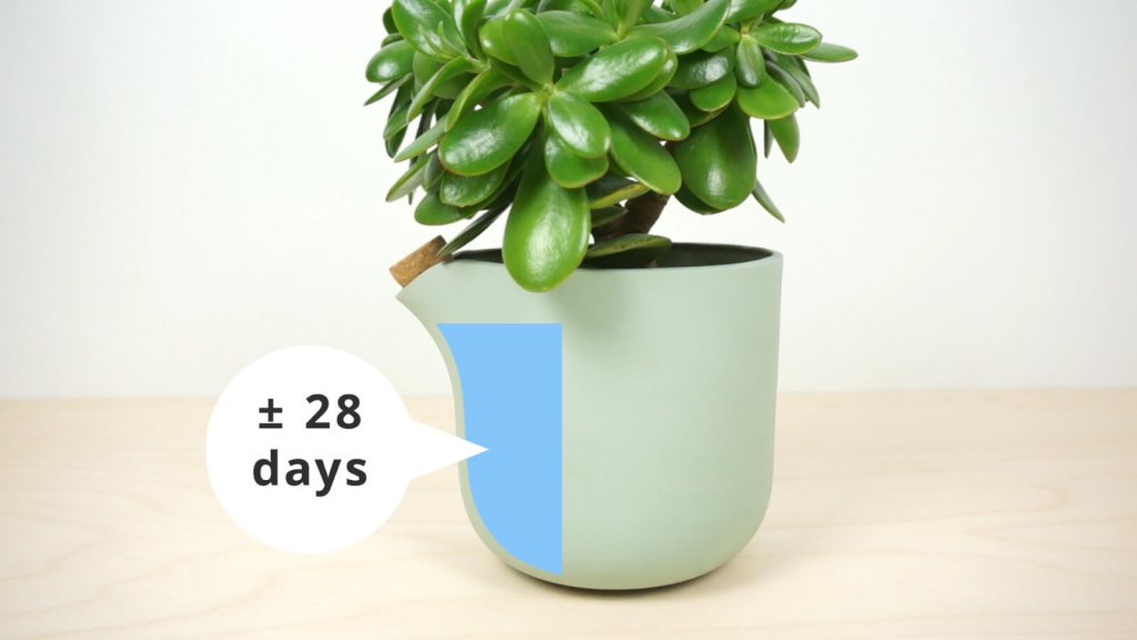 natural-balance-self-watering-flowerpot-lorier