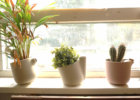 prototypes-testing
