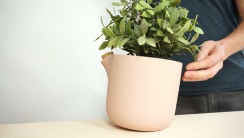 When a plant grows larger, simply adjust the Natural Balance, so it tips over exactly when the water reservoir is empty