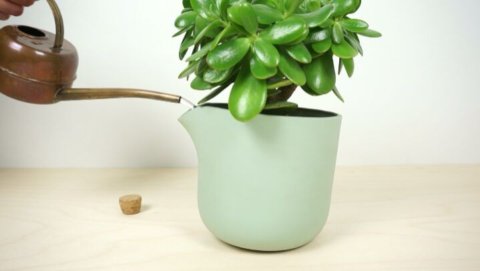Last hours in our campaign of the. Last chance to reserve one for €39 @designboom-watering