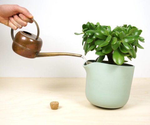 Last hours of the Natural Balance campaign. The last to get the flowerpot at the lowest price #010