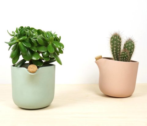 The Natural Balance now available for pre-order in our webshop-order