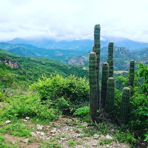 Holiday in Mexico