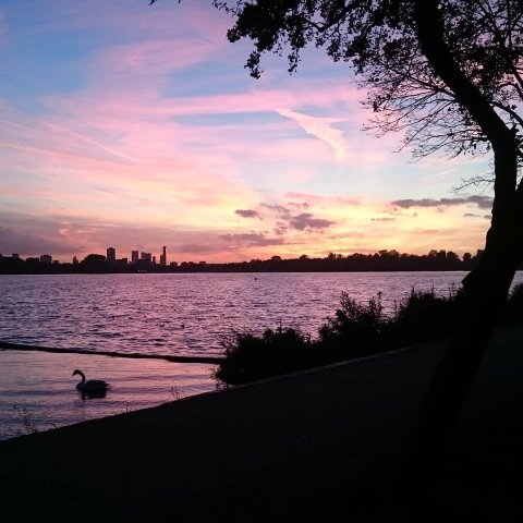 Lovely view during my evening run. Tomorrow we will share some exciting news, so stay tuned