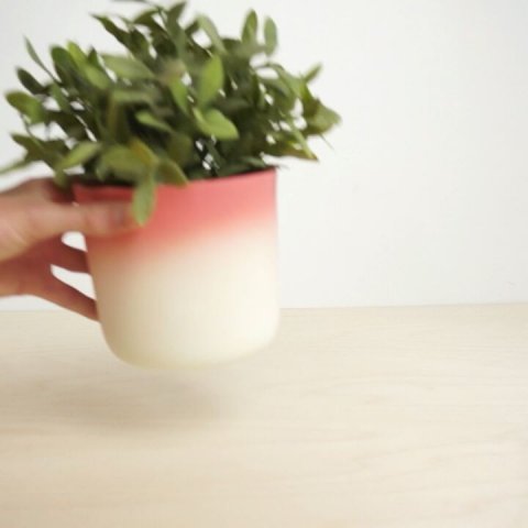Spin around you plant, and let is tilt to the side that weighs the most