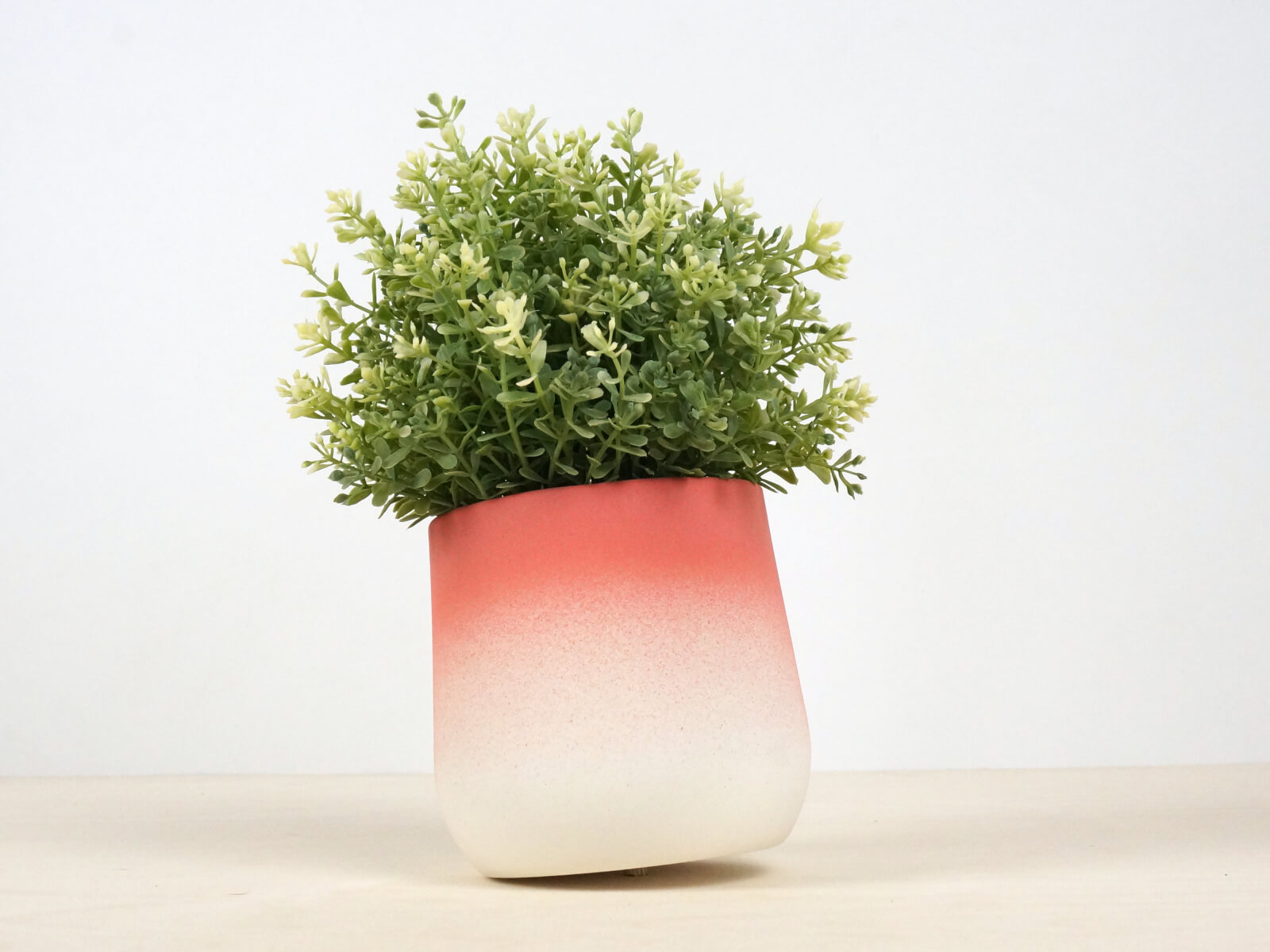 Flowertop - Medium