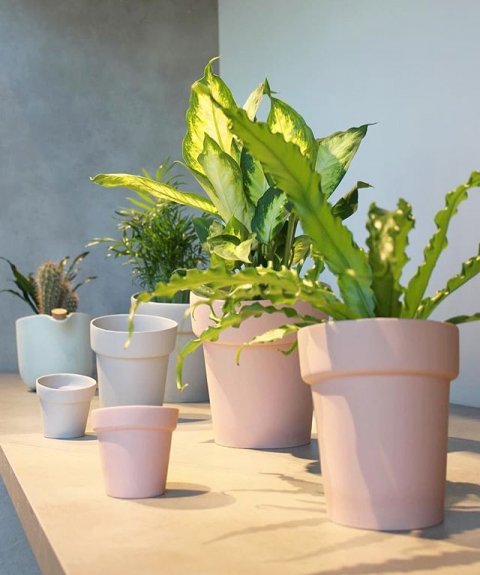 All flowerpots and vases are this month on display @waterdrinker_aalsmeer-watering