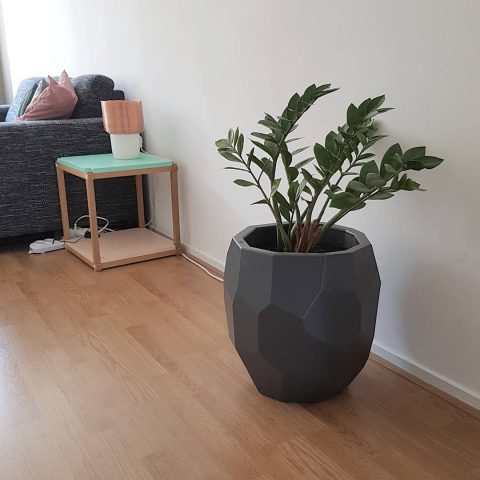 Poligon flowerpot at home