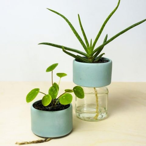 Recently made a flowerpot🌿 to encourage recycling: Place the ceramic pot on any glass jar and the plant will be watered through the wire